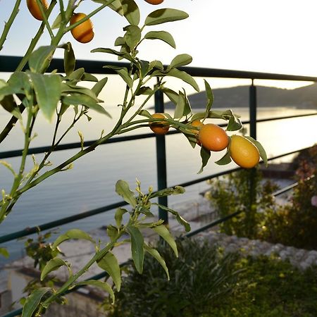 Villa Panorma Кепаро Экстерьер фото