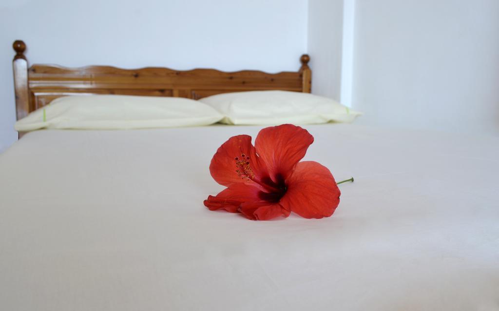 Villa Panorma Кепаро Экстерьер фото